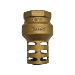 VÁLVULA RETENÇÃO FUNDO DE POÇO FIG.1310 2.1/2' BSP - Dulong 